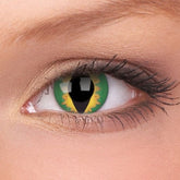 Hullu vihreä lohikäärme